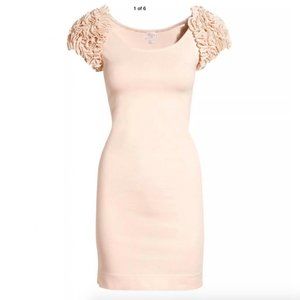H&M Garden Collection | Pink Ruffle Sleeve Dress